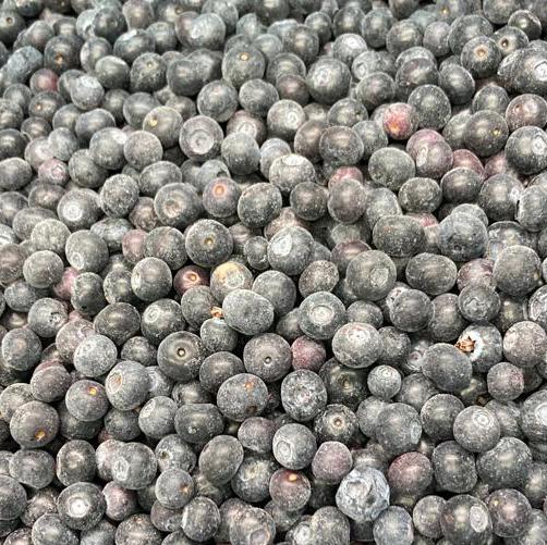 Frozen Berries - reddotgreendot