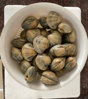 Clams Fresh Large - reddotgreendot