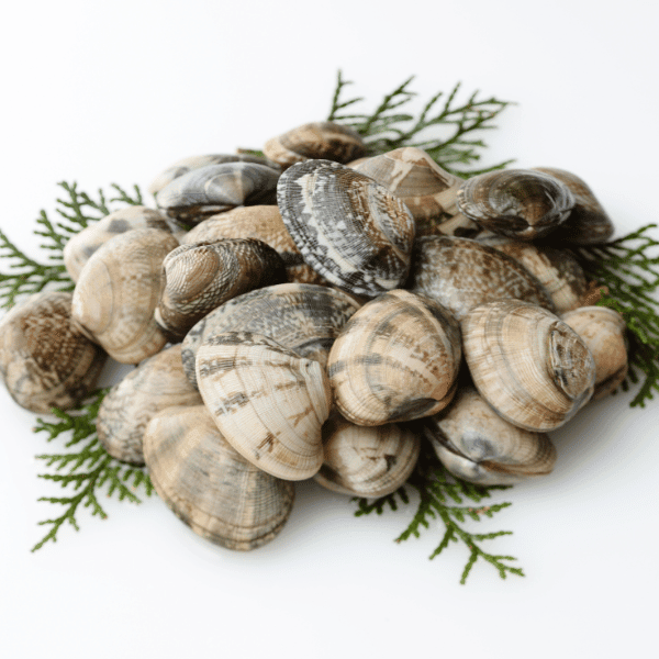 Clams Fresh Small - reddotgreendot