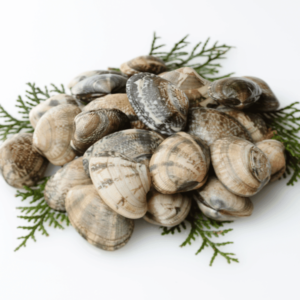 Clams Fresh Large - reddotgreendot