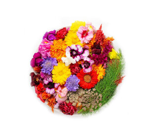 Edible Flowers 25g-30g Punnet