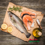 Fresh Salmon - reddotgreendot