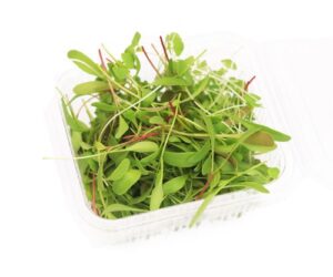 Mix Microgreens Hydroponic 50g