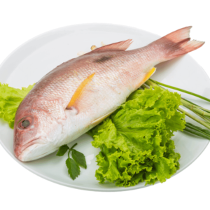 Red Snapper Tambosi Fresh Whole - reddotgreendot