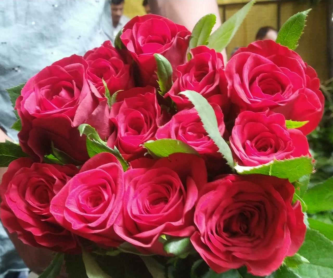 Red Roses - reddotgreendot