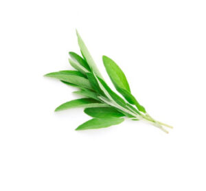 Herbs Sage 10g