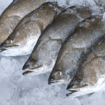 Sea Bass Fresh Whole - reddotgreendot