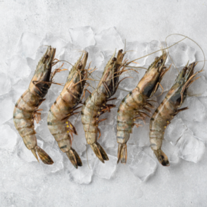 Tiger Prawns - reddotgreendot