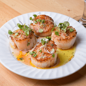 Scallops Without Roe - reddotgreendot