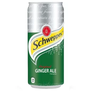 Ginger Ale 300ml