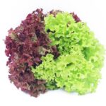 Lettuce Mix Red/Green Hydroponic 200g