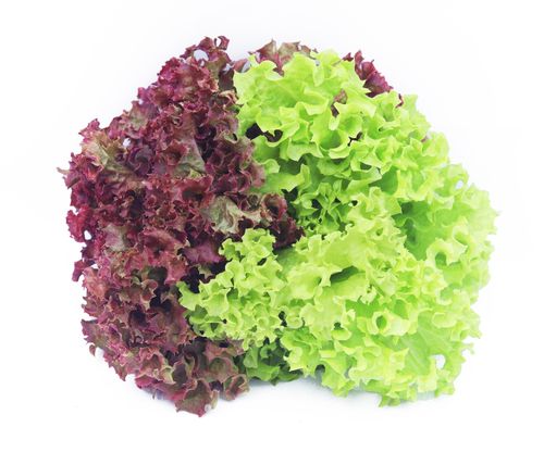 Lettuce Mix Red/Green Hydroponic 200g