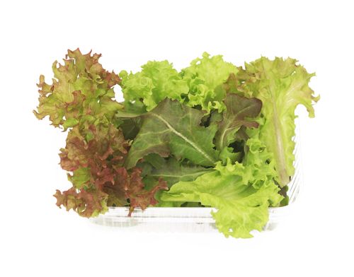 Salad Mix Hydroponic 75g