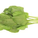 Spinach Palak Hydroponic 200g