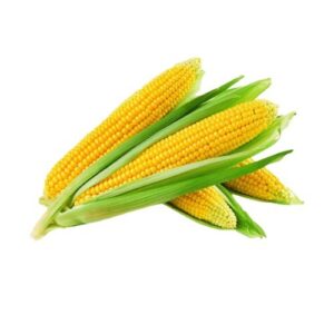 American Sweet Corn 1pc