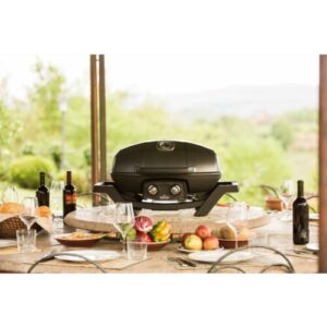 Napoleon TravelQ™ 240 Portable Gas Grill - Image 5