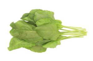 Spinach Palak Hydroponic 200g